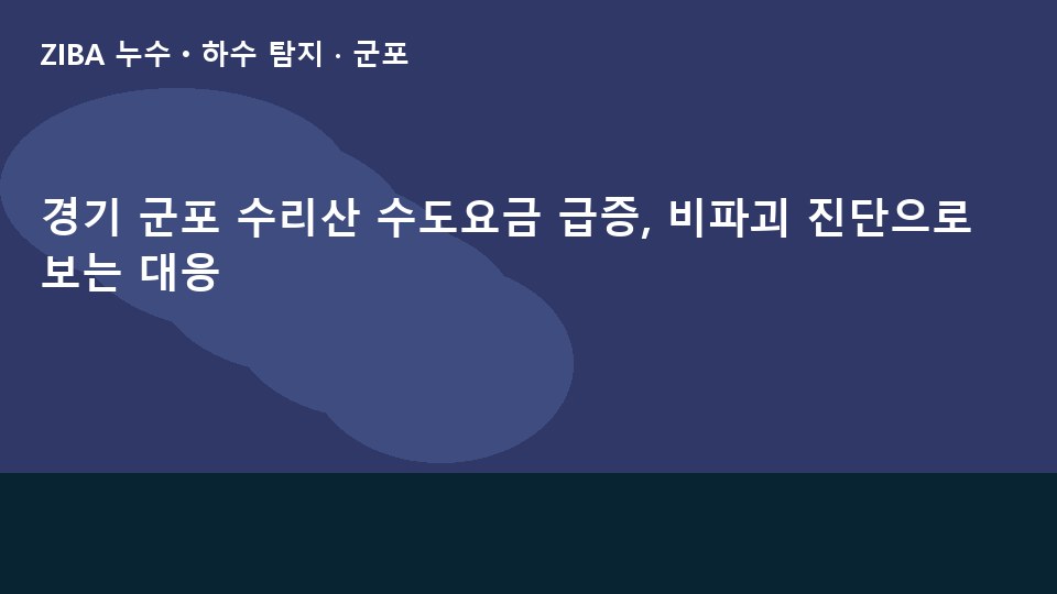 경기 군포 수리산 수도요금 급증, 비파괴 진단으로 보는 대응