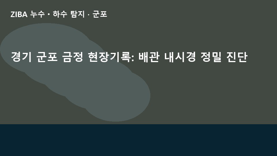 경기 군포 금정 현장기록: 배관 내시경 정밀 진단